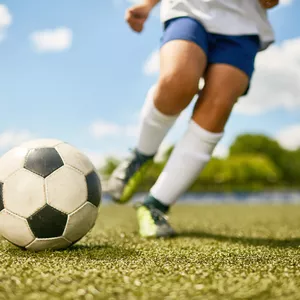 Imagem de capa para o Ebook Técnicas de treinamento infanto juvenil.