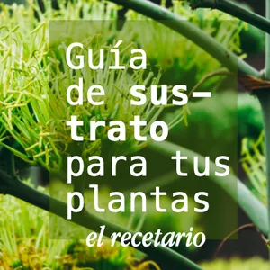 Imagen de portada para Ebook El Recetario - Guía de Sustrato para plantas