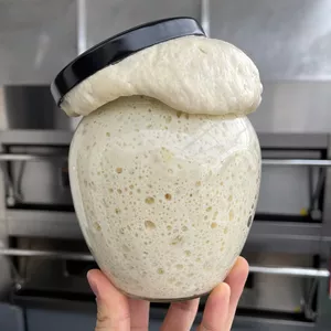 Imagen de portada para Curso online Los Secretos de la Masa Madre y Curso de Cero Gluten Gratis