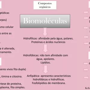 Imagem de capa para o Ebook Mapa Mental de Biomoléculas 