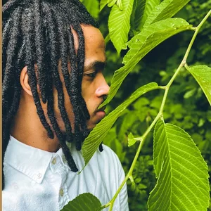 Imagem de capa para o Ebook Da raiz a restauração 