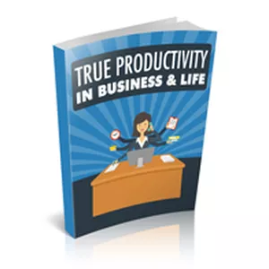 Cover image for Ebook True productiviry in business &amp; life