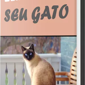 Imagem de capa para o Ebook Como treinar seu gato 
