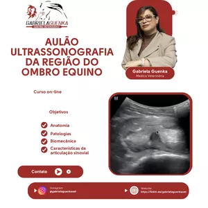 Curso AULÃO DE ULTRASSONOGRAFIA DA REGIÃO DO OMBRO EQUINO VET - Dra. Gabriela Guenka