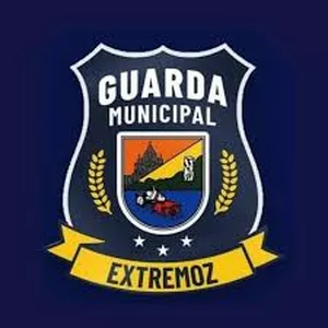 Imagem de capa para o Curso online CURSO ONLINE GUARDA MUNICIPAL DE EXTREMOZ