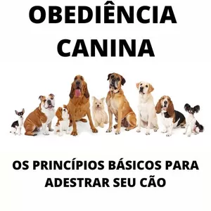 Imagem do curso OBEDIÊNCIA CANINA