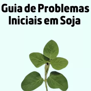 Imagem de capa para o Ebook Guia de Identificação de Problemas Iniciais da Soja