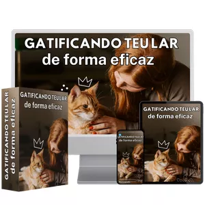 Imagem de capa para o Ebook Gatificando teu lar de forma eficaz