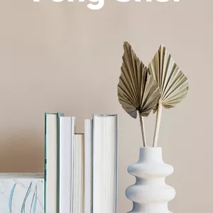 Cover image for Ebook Feng Shui for Business and Life