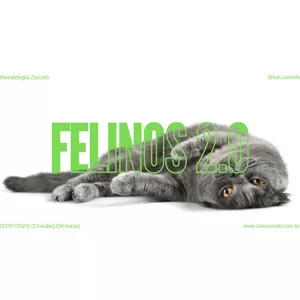 Curso (11º CURSO ONLINE) COMPORTAMENTO FELINO 2.0
