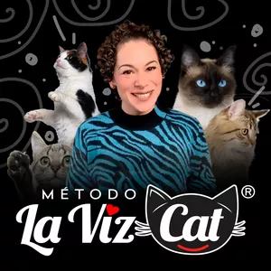 Imagen de portada para Curso online Método LaVizCat