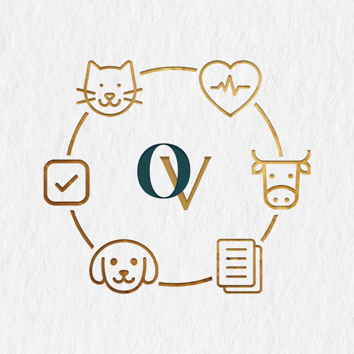 Imagem do curso Organiza Vet