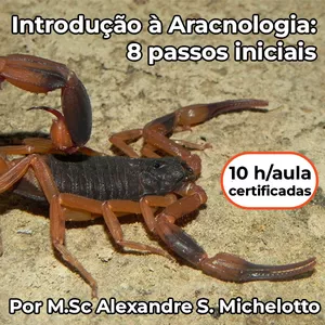 Imagem do curso Introdução à Aracnologia: 8 passos iniciais