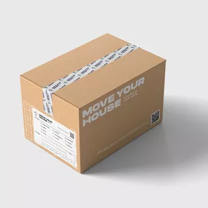 Imagen de portada para Servicio online Asesoría Ecommerce - Shopify