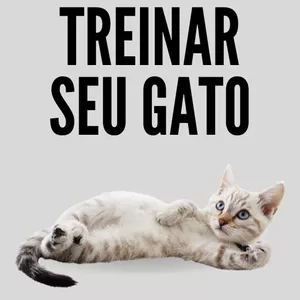 Imagem de capa para o Ebook COMO TREINAR SEU GATO - passa a passo