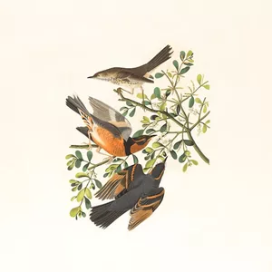 Imagen de portada para Curso online Descubre técnicas de ilustración innovadoras en nuestros cursos especializados