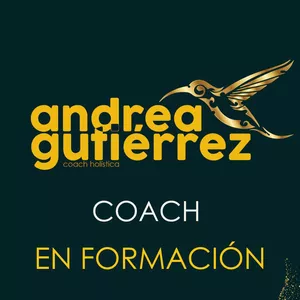 Imagen de portada para Curso online CERTIFICACION DE COACHING HOLISTICO