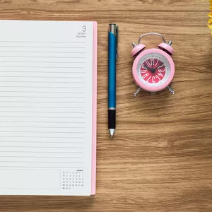 Imagem de capa para o Curso online Miolo de Agenda 2024 completo e editável em Corel Draw (.cdr) e em PDF pronto para impressão