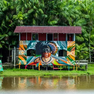 Imagem do curso amazonia para brasileiros-sua rota turística