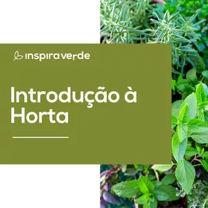 Imagem de capa para o Curso online Introdução à Hortas Caseiras
