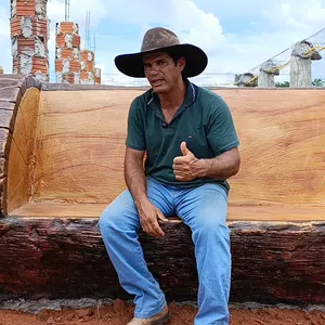 Imagem de capa para o Curso online Madeira em arte de cimento