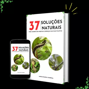 Imagem do curso 37 SOLUÇÕES NATURAIS - Para Acabar com Insetos e Doenças nas suas Plantas