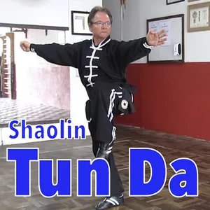 Cover image for Online course Northern Shaolin  -Sixth Routine - The Short Strike Shaolin Fist - |第六路短打拳