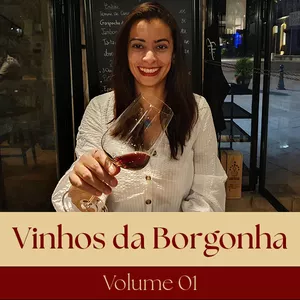 Imagem de capa para o Curso online Vinhos da Borgonha Básico - Volume 1