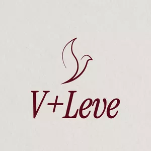 Imagem de capa para o Curso online V+Leve