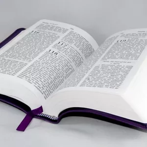 Imagem do curso Curso de Teologia: O Livro de Salmos