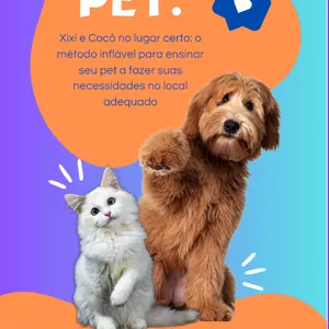Imagem de capa para o Ebook Pet_ Xixi e Cocô no lugar certo_ o método inflável para ensinar seu pet a fazer suas necessidades no local
