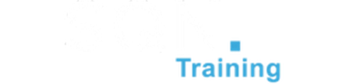 SQN Training logo
