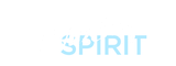 Pursuit of Spirit Academy