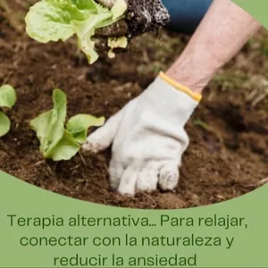 Imagen de portada para Ebook Huerta Orgánica como Terapia Alternativa 