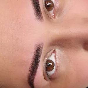 Imagem do curso S PRO – Formação Profissional em Micropigmentação Shading Brows 