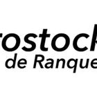 Foto Síntese Fotografia Profissional
