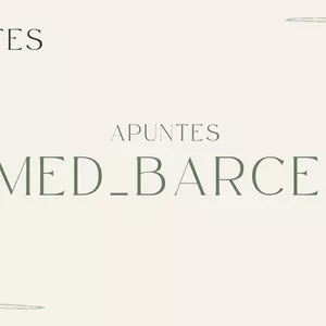 Imagen de portada para Curso online Neuroanatomia - pesos