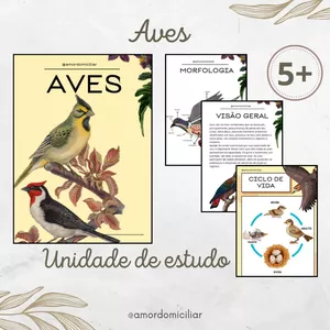 Imagem de capa para o Ebook Aves