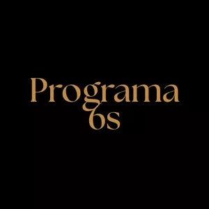 Imagem de capa para o Curso online Programa 6s