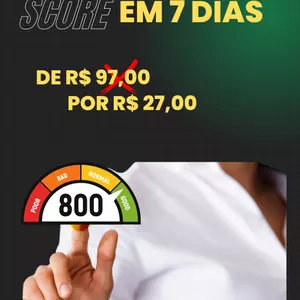 Imagem do curso DESAFIO AUMENTE SEU SCORE EM ATÉ 7 DIAS 