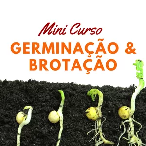 Imagem de capa para o Curso online Mini Curso Germinação e Brotação