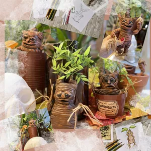 Imagem do curso Mandrágoras - Modelando o imaginário