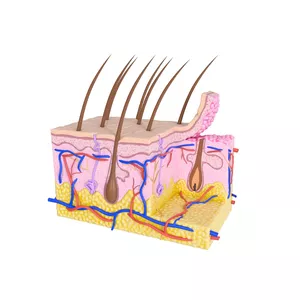 Imagen de portada para Ebook Trastornos cutáneos y fármacos