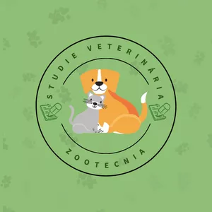 Imagem de capa para o Ebook Clínica Cirúrgica de Pequenos Animais I - CCPA