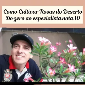 Imagem principal do produto Como cultivar Rosa do Deserto, do zero ao especialista nota 10, com Everaldo RD