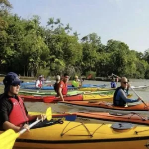 Imagem de capa para o Curso online Saude e espertes