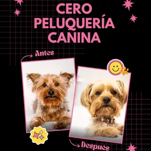 Imagen de portada para Ebook Peluquería Canina Desde Cero Guía Práctica para Iniciarte y Empezar a Trabajar