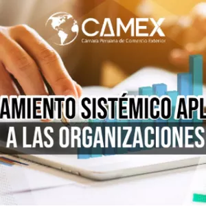 Imagen de portada para Curso online CURSO DE PENSAMIENTO SISTEMICO APLICADO A LAS ORGANIZACIONES