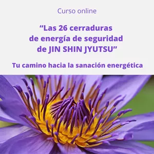 Imagen de portada para Curso online Las 26 cerraduras de energía de seguridad de Jin Shin Jyutsu