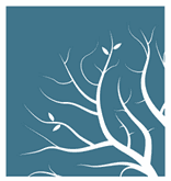 Imagem de Curso de Lumion Completo  criado por EAD Like3D na hotmart